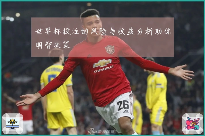 世界杯投注的风险与收益分析助你明智决策