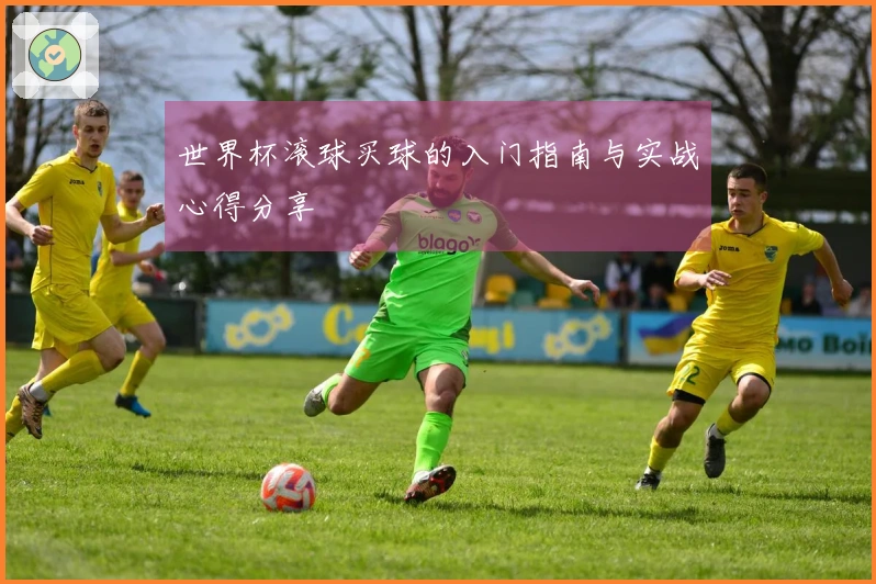 世界杯滚球买球的入门指南与实战心得分享