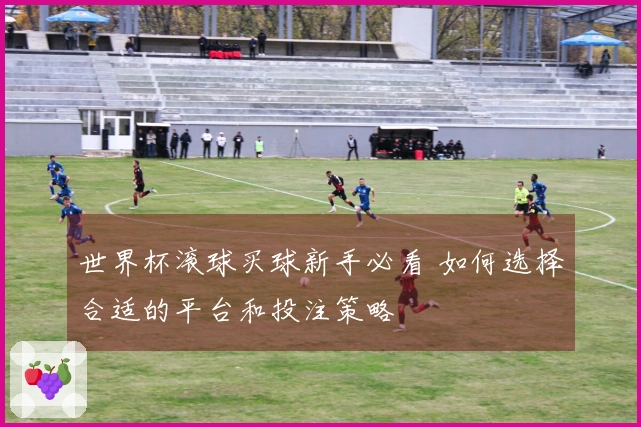 世界杯滚球买球新手必看 如何选择合适的平台和投注策略
