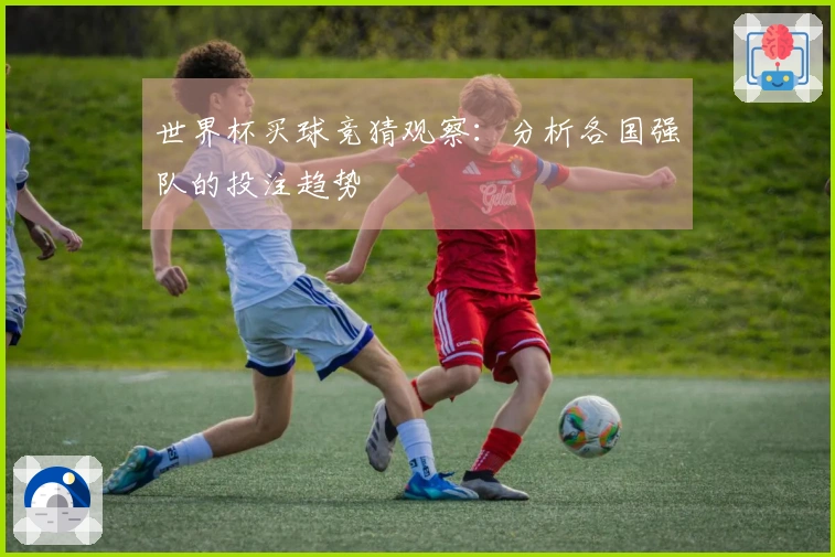 世界杯买球竞猜观察：分析各国强队的投注趋势