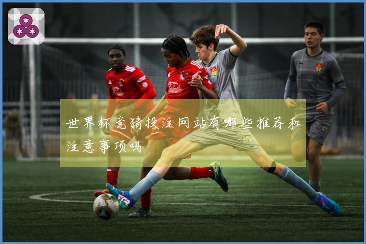世界杯竞猜投注网站有哪些推荐和注意事项吗