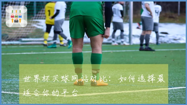 世界杯买球网站对比：如何选择最适合你的平台