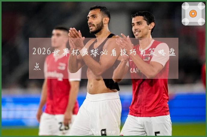 2026世界杯买球必看技巧与策略盘点