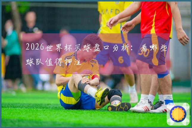 2026世界杯买球盘口分析：看哪些球队值得押注