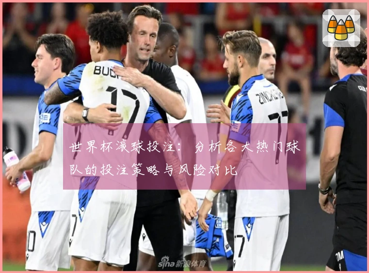 世界杯滚球投注：分析各大热门球队的投注策略与风险对比