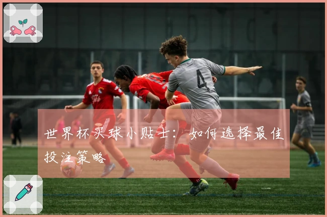 世界杯买球小贴士：如何选择最佳投注策略