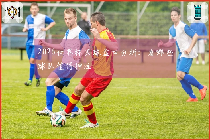 2026世界杯买球盘口分析：看哪些球队值得押注