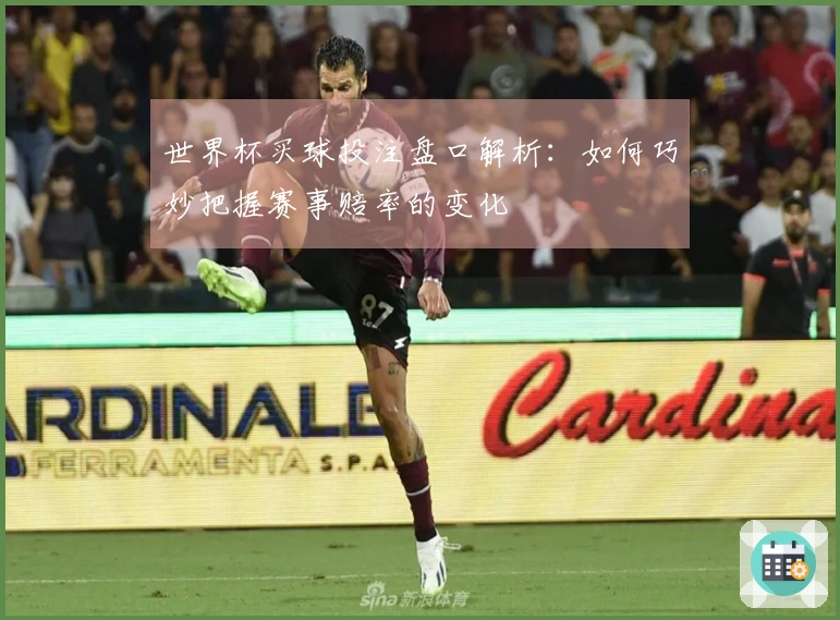 世界杯买球投注盘口解析：如何巧妙把握赛事赔率的变化