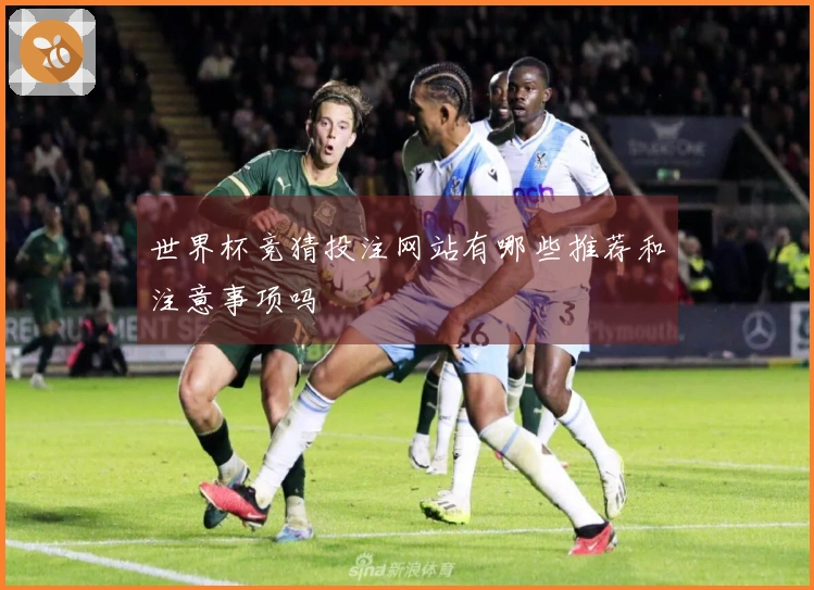世界杯竞猜投注网站有哪些推荐和注意事项吗