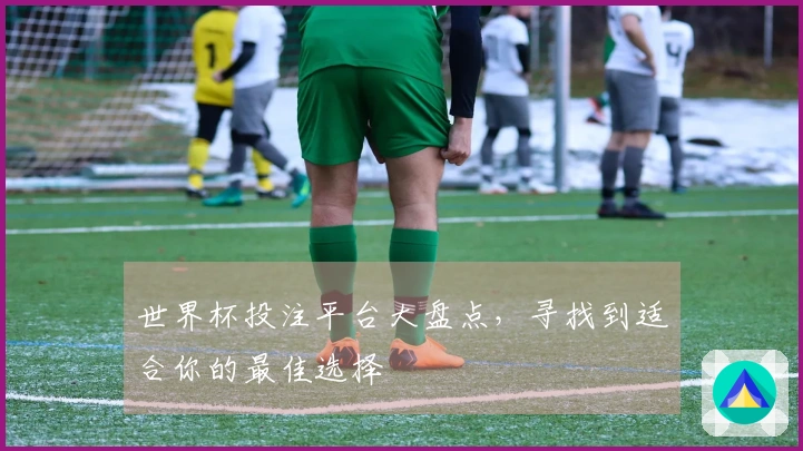 世界杯投注平台大盘点，寻找到适合你的最佳选择