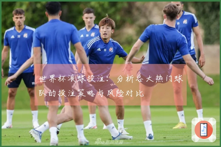 世界杯滚球投注：分析各大热门球队的投注策略与风险对比