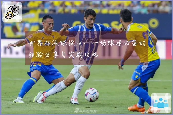 世界杯滚球投注，一场球迷必备的经验分享与实战攻略